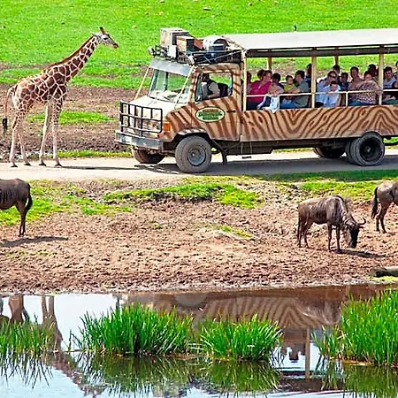 Resort Serengeti Park 3*