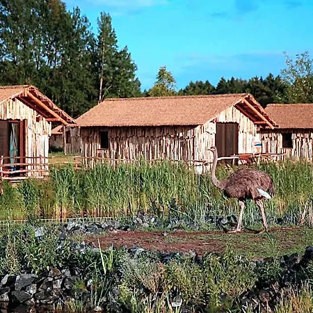 Serengeti Park 3*